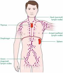Massage Gun for Lymphatic Drainage: Boost Your Health!